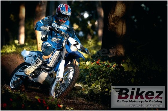 2010 Yamaha WR450F photo